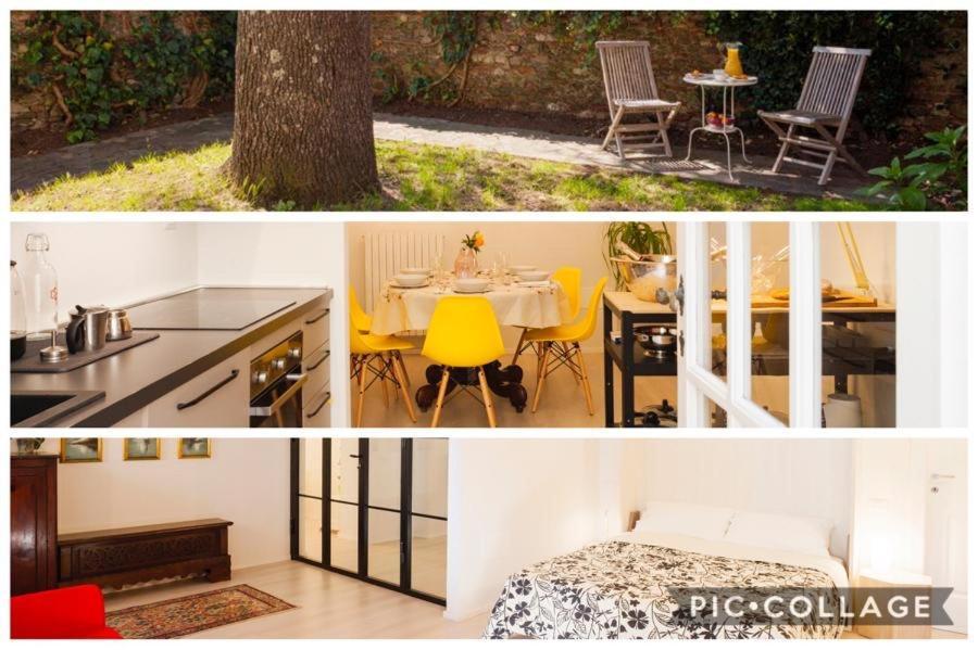 The New Luxury Apartment In The Historic Center Lucca Bagian luar foto